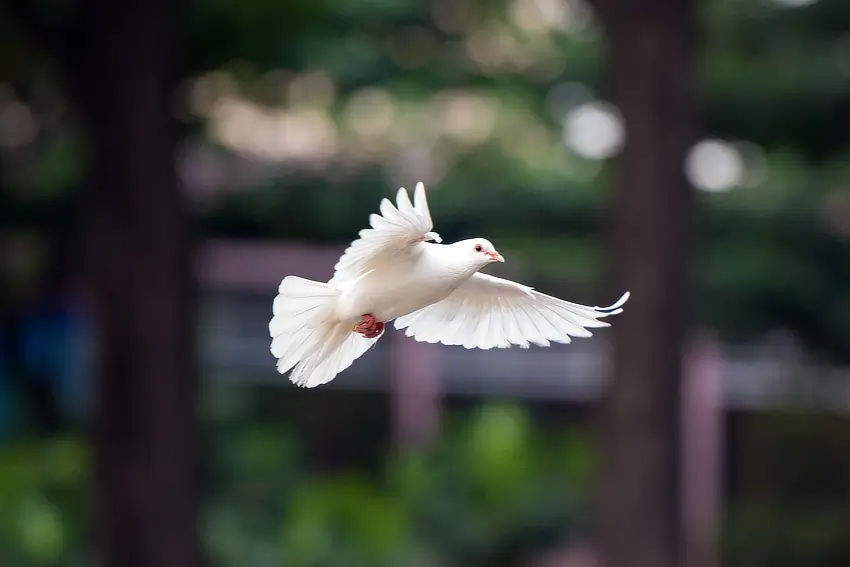 032026-intencja850px